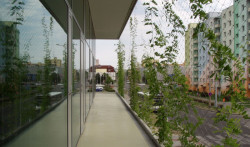 SLLA, Komunitní centrum Máj – foto