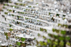 Subtile, Federico Díaz,