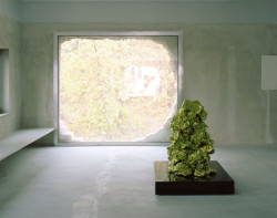 Brandlhuber+ Emde, Schneider, Antivilla - foto