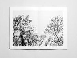 JANOŠÍK vydává knihu Krajina domovem jako oslavu svojí práce