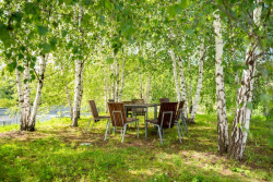 Střešní zahrada na sídle ČSOB