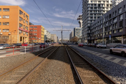 Olšanskou ulici zaplní stromořadí a přibyde cyklostezka s parkem