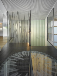 Kancelářské prostory a showroom developerské společnosti Satpo, Daniela Polubědovová