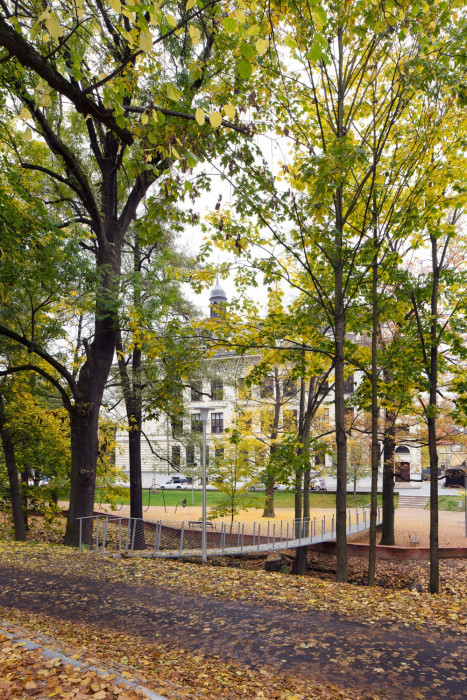 Obnova nábřeží řeky Loučné v Litomyšli, Rusina Frei