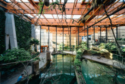 Afrykarium ve Vroclavi: centrální hala, kolem se nachází pět biotopů