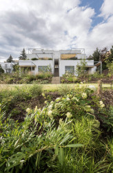 Dům rozděluje  schodiště na symetrické poloviny. (Terasový dvojdům v Krči, martin cenek architecture)