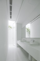 Bamboo Forest, V Studio