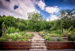 Projektil architekti a Lucie Komendové jsou autory veřejné zahrady na svahu hradu Špilberk