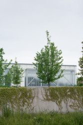 Před okolím se skrývá za zdí, kterou brzy také poroste zeleň. (Vila za Prahou, Nacházel architekti)