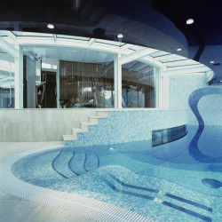 The Bird, autor Ing. arch. Roman Kuba