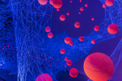 Nina Šulin & Natalija R. Črnčec, In Parallel - foto