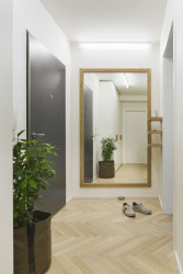 DESIGNIST, Byt Žižkov – foto