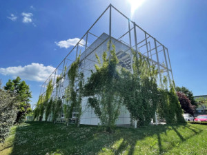 Nový pavilon od ateliéru Huť architektury Martina Rajniše byl otevřený v Mladé Boleslavi.