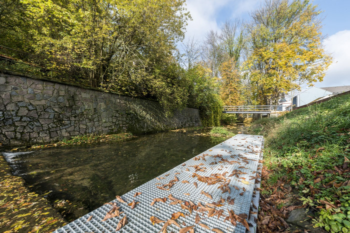 Obnova nábřeží řeky Loučné v Litomyšli, Rusina Frei