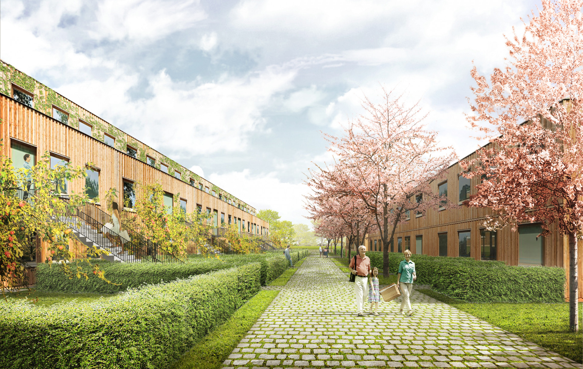 Návrh čtvrti Chytré Líchy v Židlochovicích, Pelčák a partner architekti, řadové domy