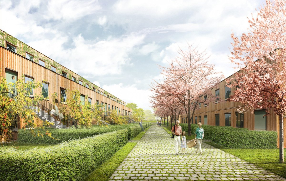 Návrh čtvrti Chytré Líchy v Židlochovicích, Pelčák a partner architekti, řadové domy