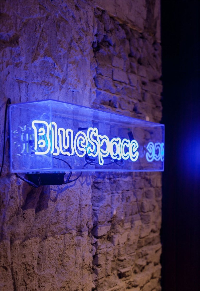 Bloom Design, kanceláře Blue Light, foto