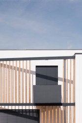 Rodinné domy v Dobříši, Boq architekti