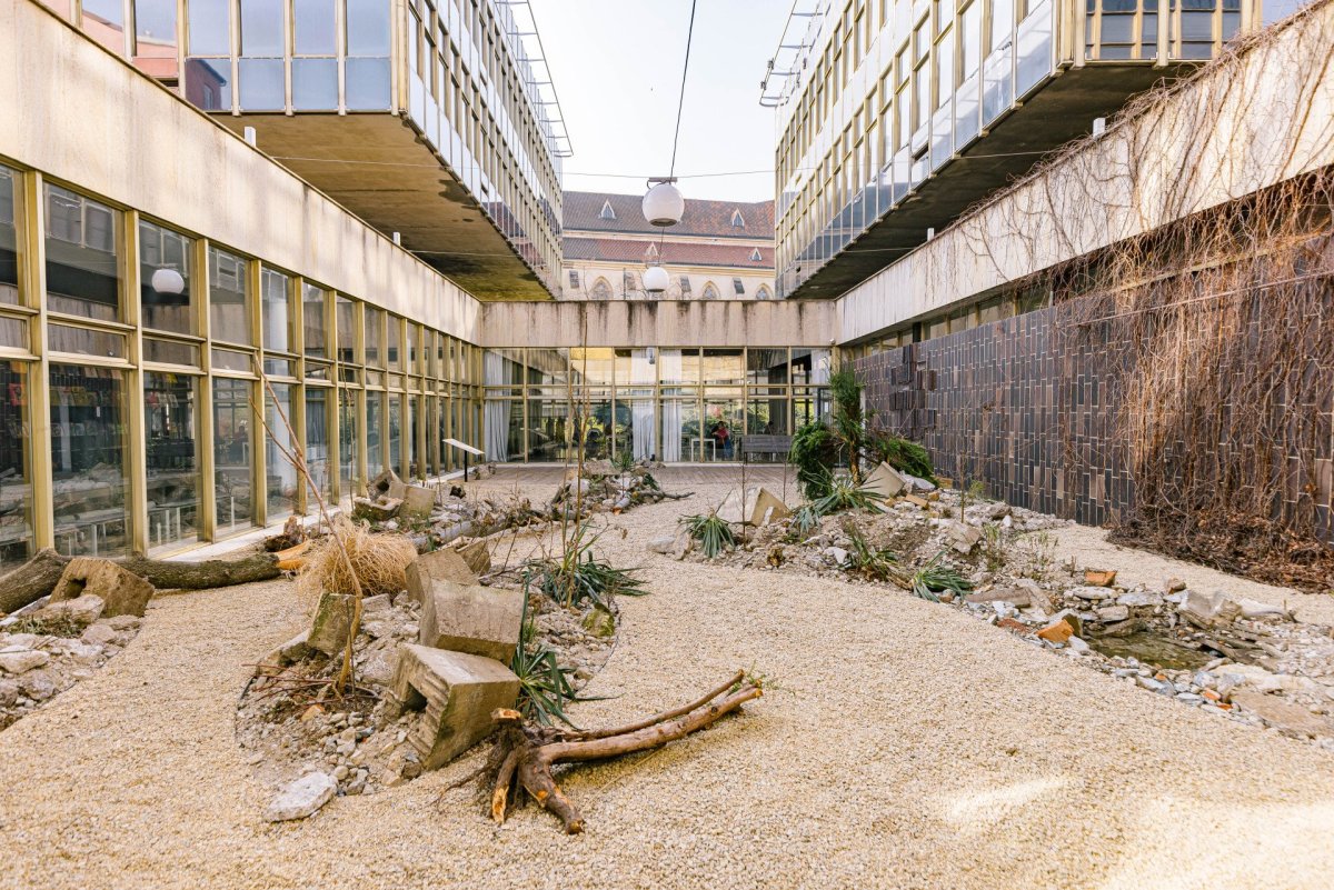 Od 21. března do 1. září bude v pražském CAMPu k vidění výstava Planeta Praha, která pozoruje město „očima“ rostlin a živočichů.