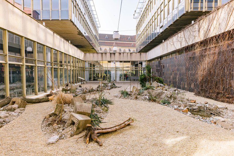 Od 21. března do 1. září bude v pražském CAMPu k vidění výstava Planeta Praha, která pozoruje město „očima“ rostlin a živočichů.