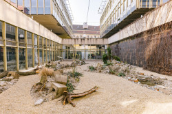 Od 21. března do 1. září bude v pražském CAMPu k vidění výstava Planeta Praha, která pozoruje město „očima“ rostlin a živočichů.