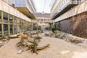 Od 21. března do 1. září bude v pražském CAMPu k vidění výstava Planeta Praha, která pozoruje město „očima“ rostlin a živočichů.