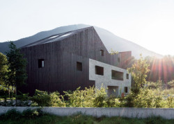Twin house, bergmeisterwolf architekten,