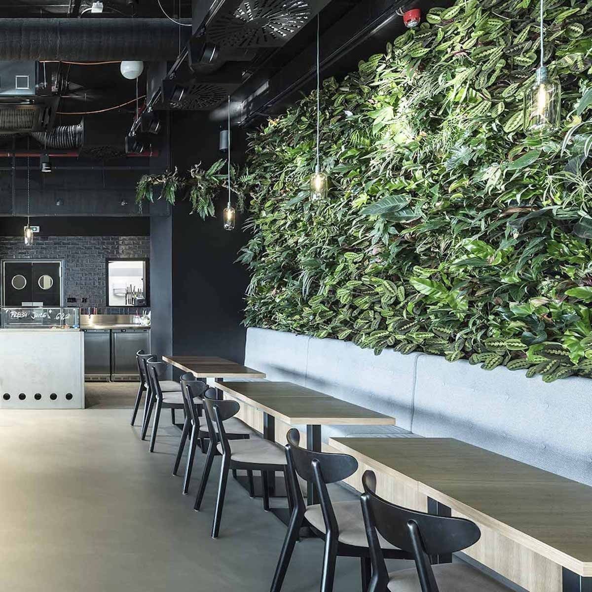 Cafe Enzzo, SOA architekti