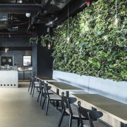 Cafe Enzzo, SOA architekti