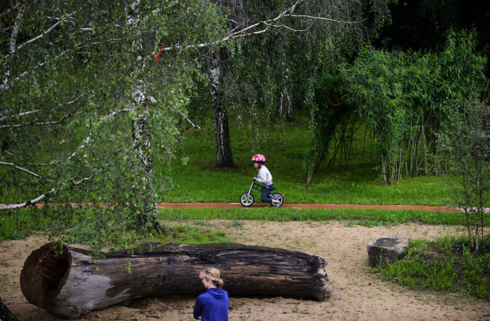 Zahrada základní a mateřské školy v Kolodějích, Skupina