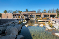 Pinus restaurant, Matúš Polák, Martin Rezník, Juraj Makový