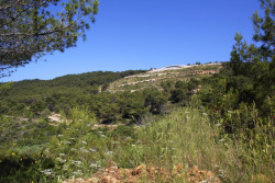 Víkendová vila Issa Megaron na chorvatském ostrově Vis, architekt Davor Matekovic