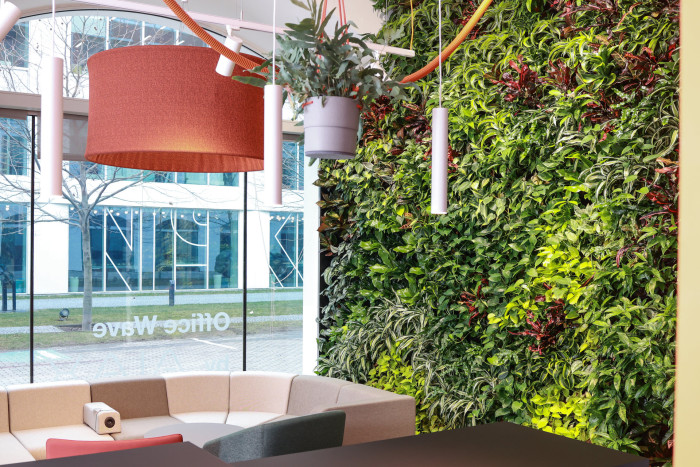 Zelené stěny od Jungle Interiors