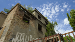 Od 21. března do 1. září bude v pražském CAMPu k vidění výstava Planeta Praha, která pozoruje město „očima“ rostlin a živočichů.