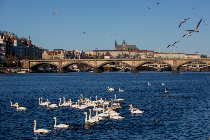 IPR spouští novou aplikaci Katalog městských částí