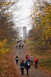 Rozhledna Alexandra Filípka na Veľkej Homoli, 2021 Architekti