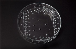 Národní cena za studentský design 2017 * JUNIOR, Foukané skleněné mísy Akupunktura