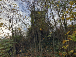 Do 30. srpna 2024 mohou ateliéry posílat své návrhy do krajinářsko-architektonické soutěže na návrh Městské hory v Berouně.