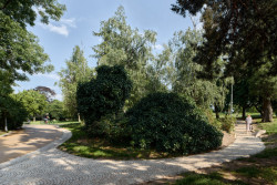 Obnova Riegrových sadů, Matouš Jebavý