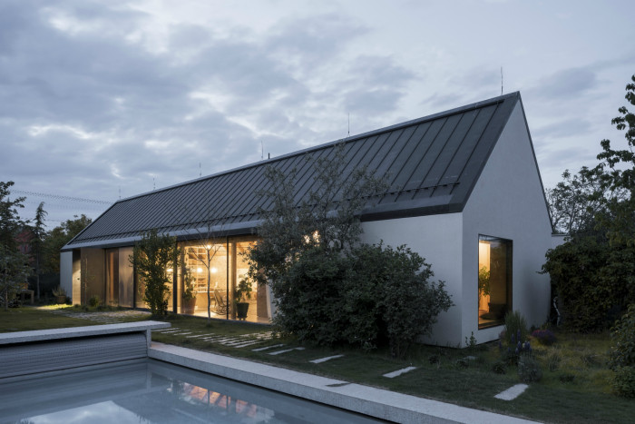 Dom V, Martin Skoček