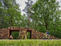 Cyklostezka v korunách stromů poblíž města Tongeren od krajinářského studia BuroLandschap a De Gregorio&Partners.