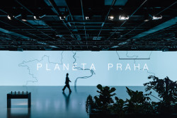 Od 21. března do 1. září bude v pražském CAMPu k vidění výstava Planeta Praha, která pozoruje město „očima“ rostlin a živočichů.
