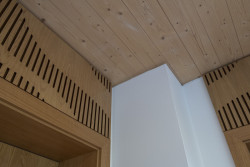 Také dřevěné stěny jsou většinou obloženy sádrokartonovými předstěnami, což trochu snižuje "přírodní" pocit z interiéru. Je to pro lepší zvukovou izolaci, protože za sádrokartonem lze snadno vést elektroinstalaci a rovněž to snížilo náklady.