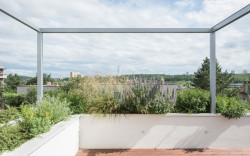 Terasy jsou obklopené truhlíky. (Terasový dvojdům v Krči, martin cenek architecture)