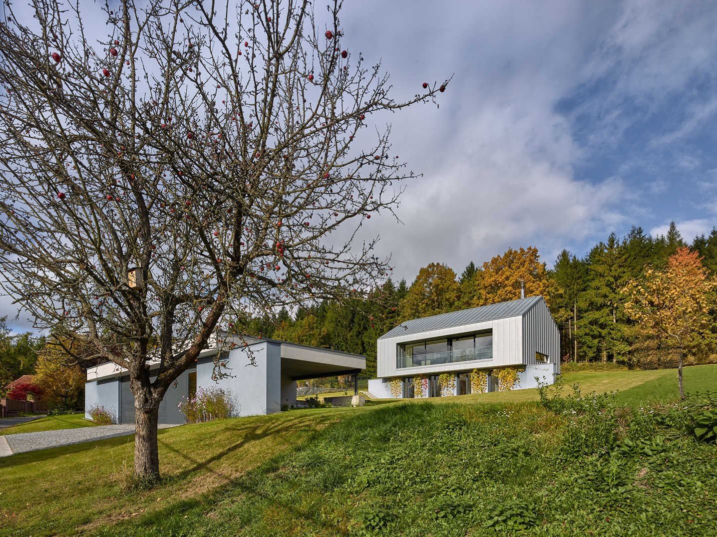  (Rodinný dům u Klatov; Stempel Tesař architekti )