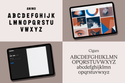 Východiskem pro nový vizuální styl Gočárovy galerie se stala sama budova Automatických mlýnů. Její rekonstrukcí získává galerie i město Pardubice důležitou kulturní ikonu