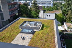 3. místo - Extenzivní střechy na bytových domech, Brno.