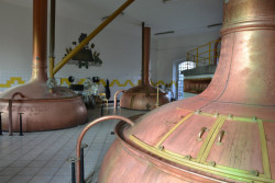 Pohled do varny, kde začíná proces vaření piva. Zcela vlevo je umístěna vystírací káď. Uprostřed vzadu se nachází rmutovací pánev. Vpravo se nachází mladinová pánev – zde probíhá chmelovar. Vzadu vpravo (mimo záběr) je ve varně umístěna scezovací káď