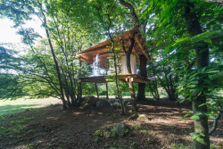Tree House, Jan Tyrpekl