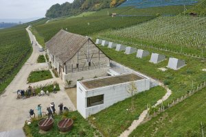 Taneční sál pod vinohradem, SPPA Architekten